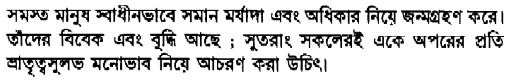 Sample text in Bengali (Article 1 of the Universal Declaration of Human Rights)